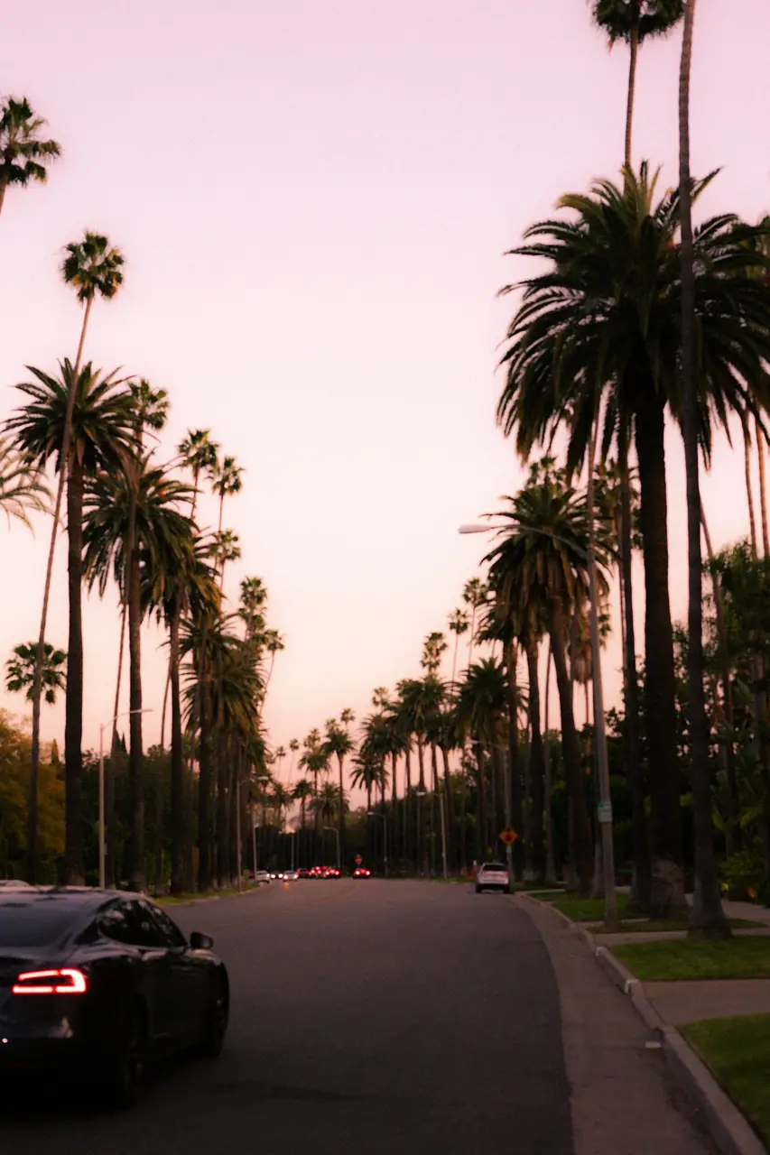 Southern California palm trees and beach