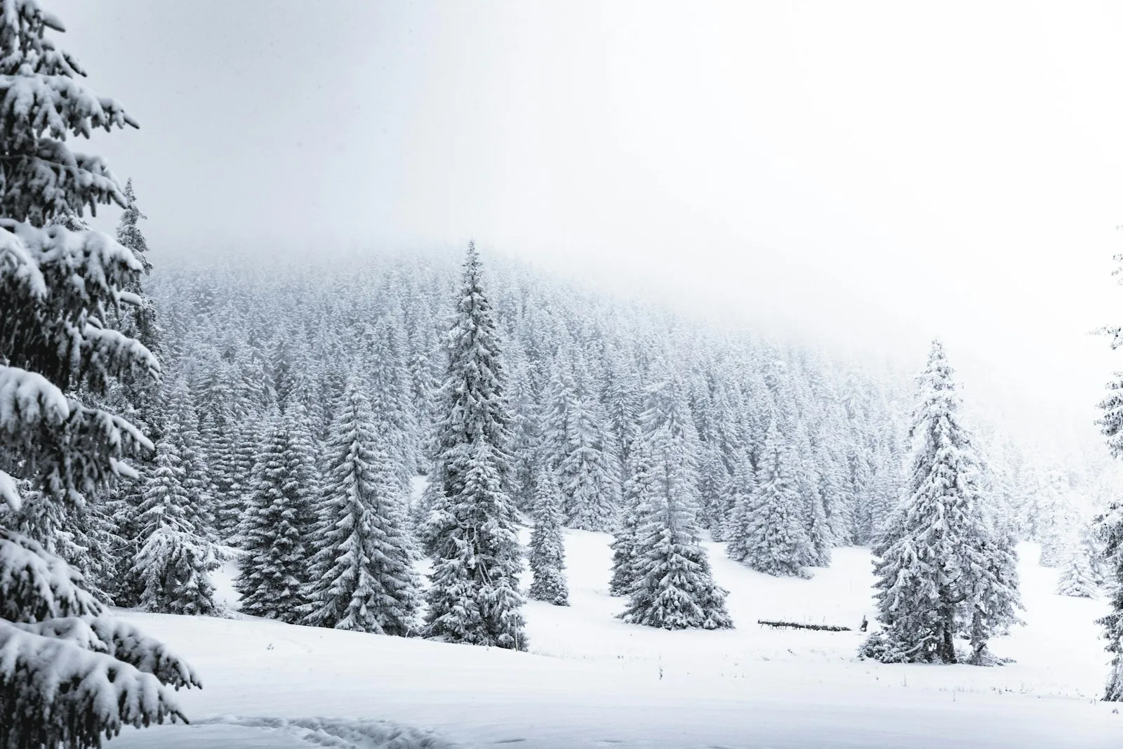 Snow-covered slopes at a Sierra Nevada ski resort