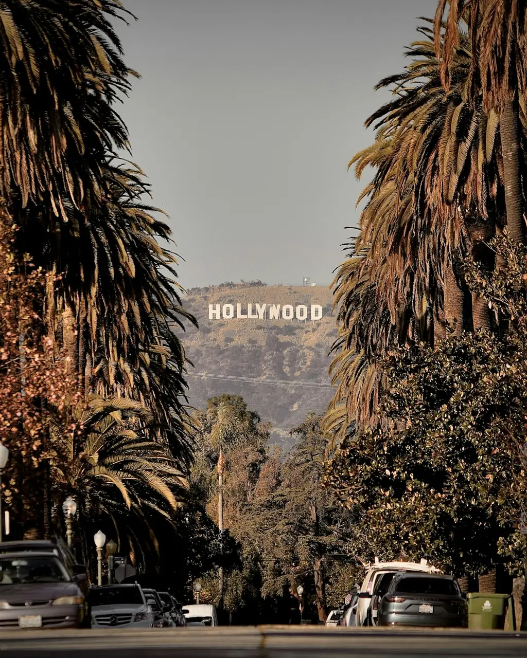 The Hollywood Sign