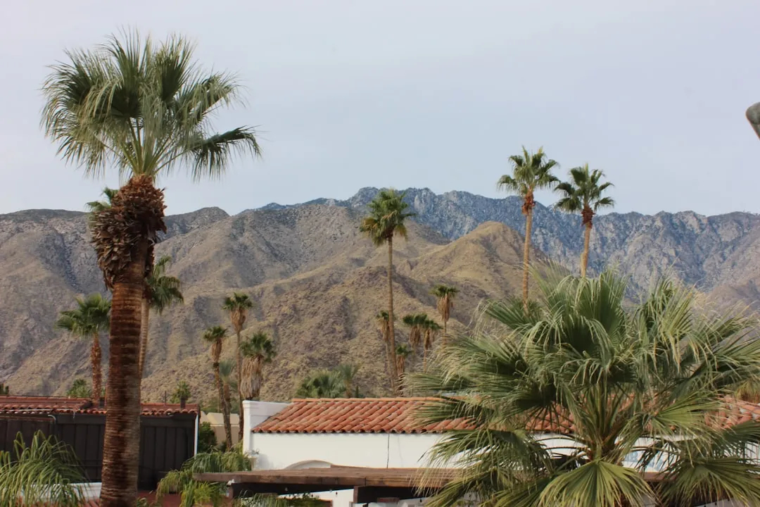 Palm Springs desert landscape with mountains