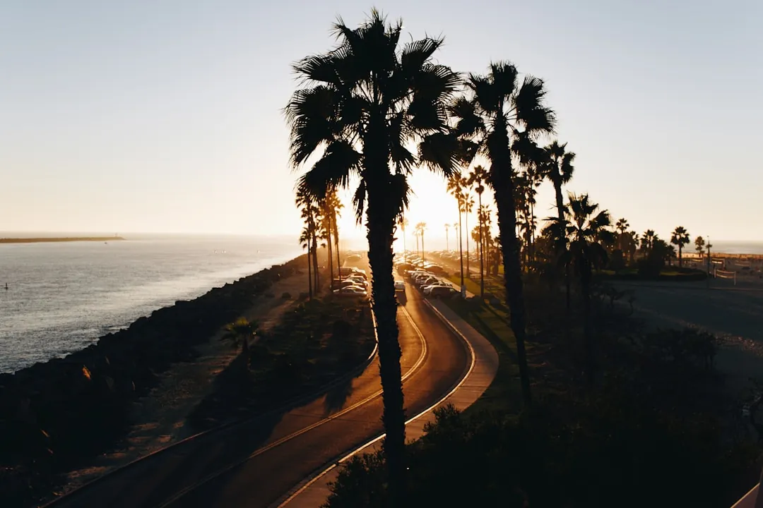 Travel planning and packing essentials